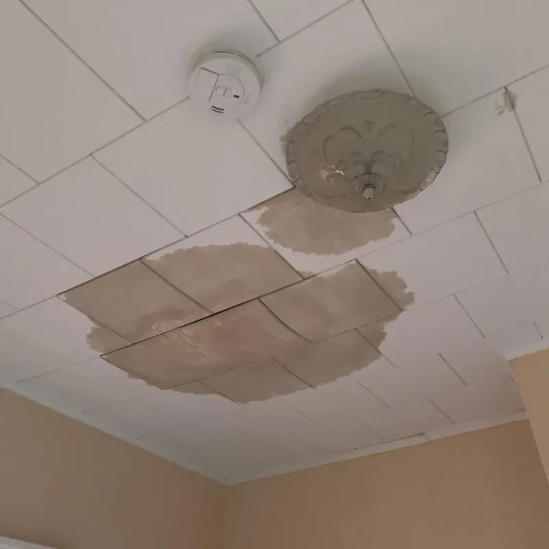 Ceiling Water Damage Repair in New Cassel, NY